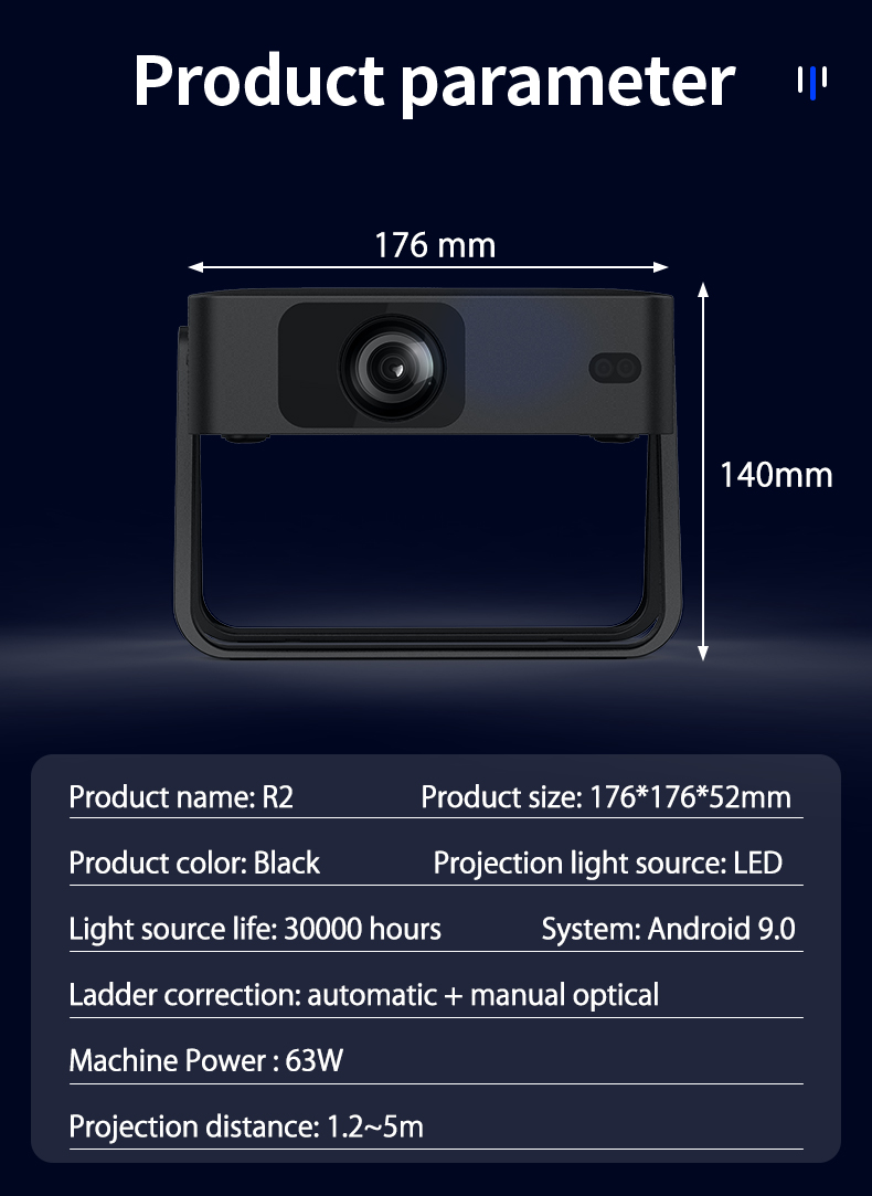 R2(图12)