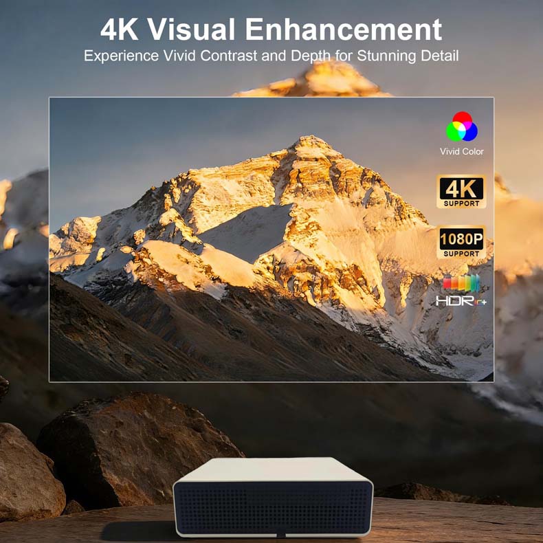 Y7(图2)